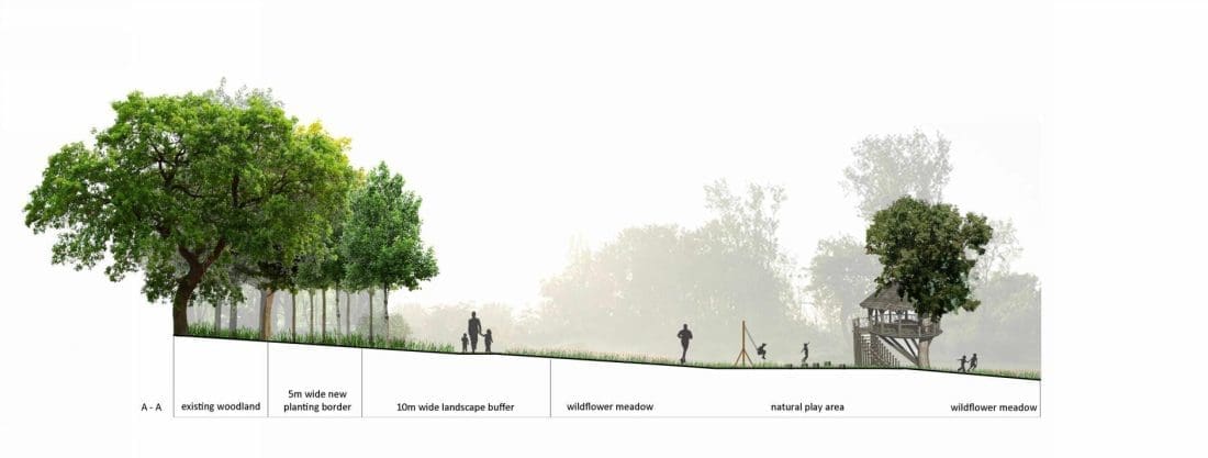 Cross section drawing of a park